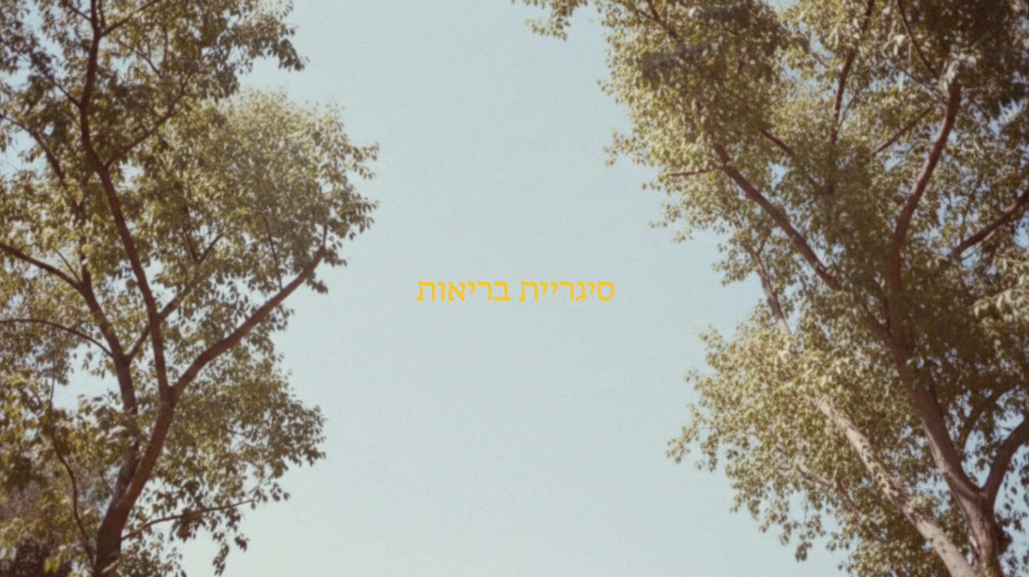 Health Cigarette — cover