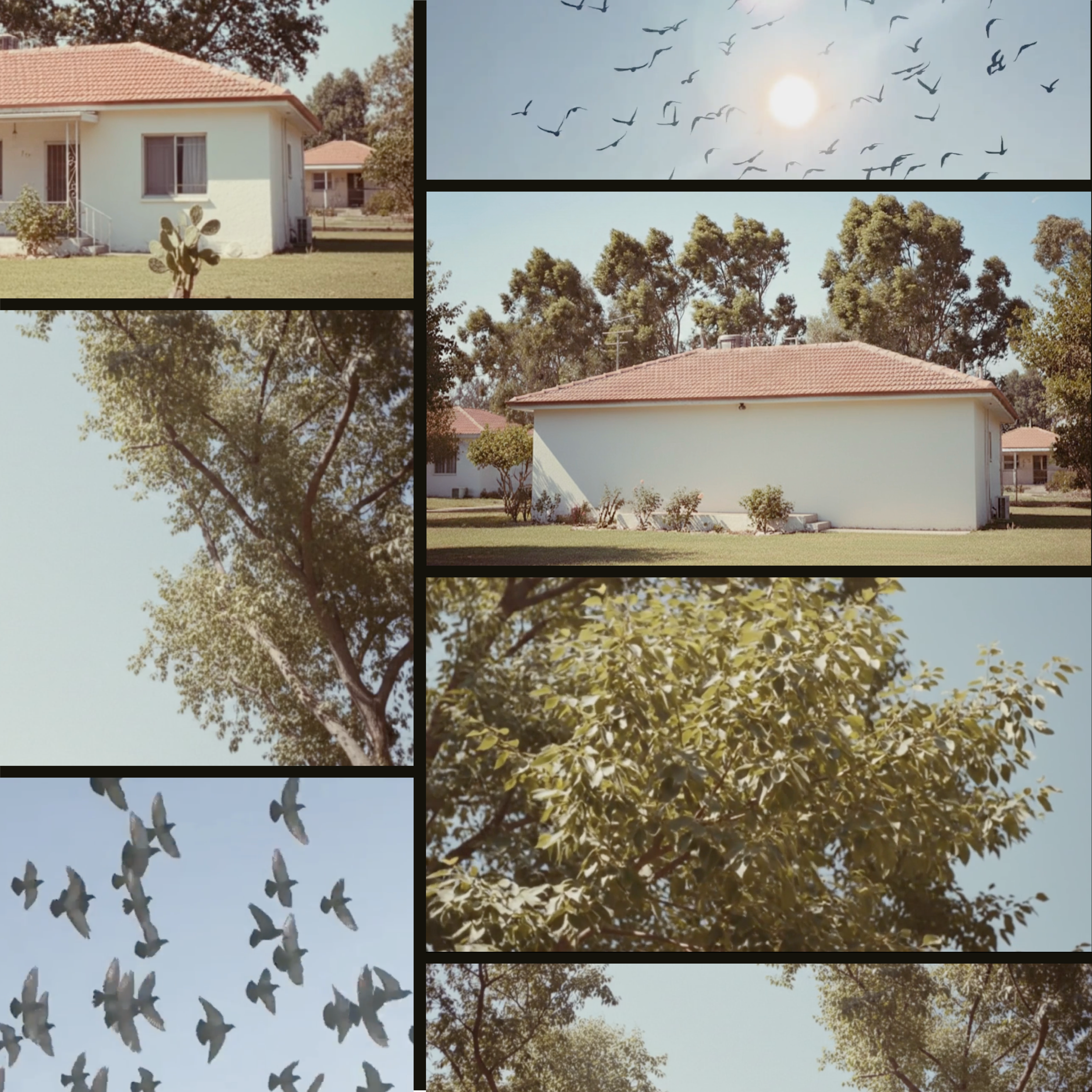 Health cigarette motion project